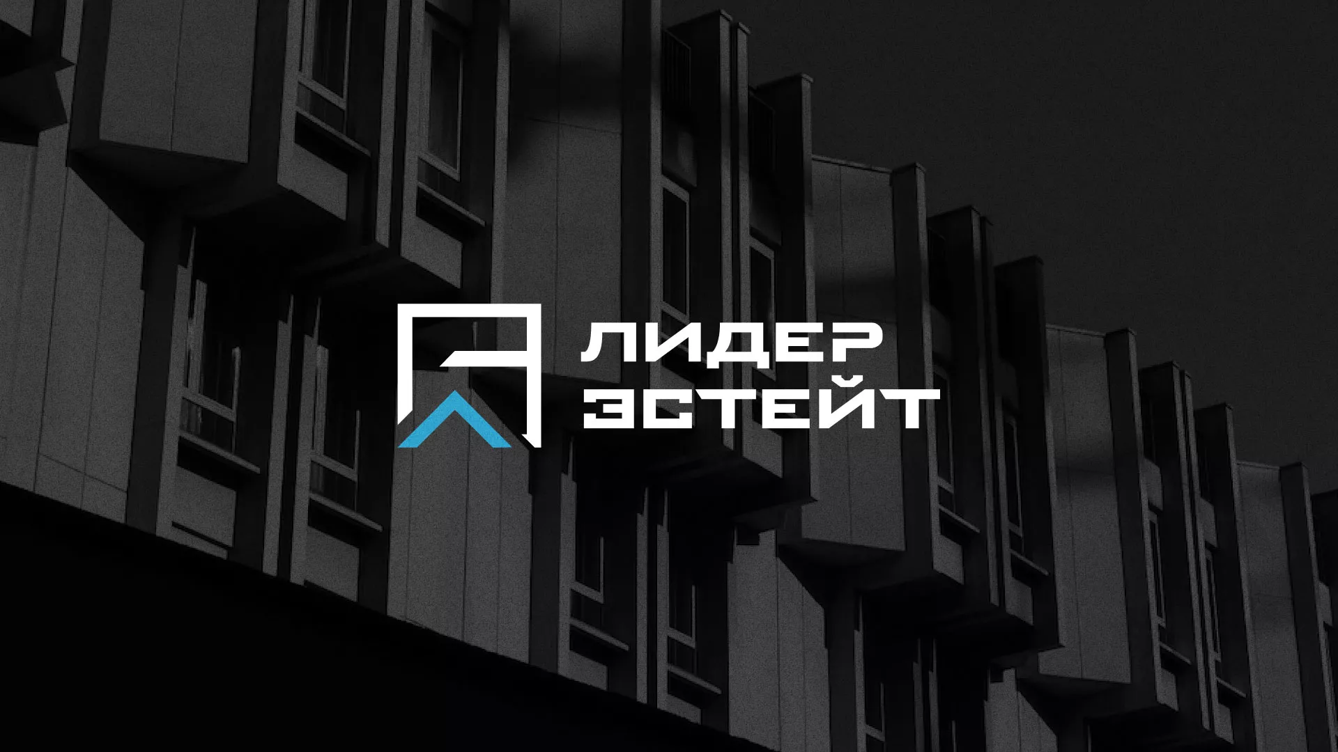 Разработка логотипа агентства недвижимости «Лидер Эстейт» в Межгорье